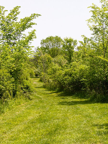 Patriot's Path
